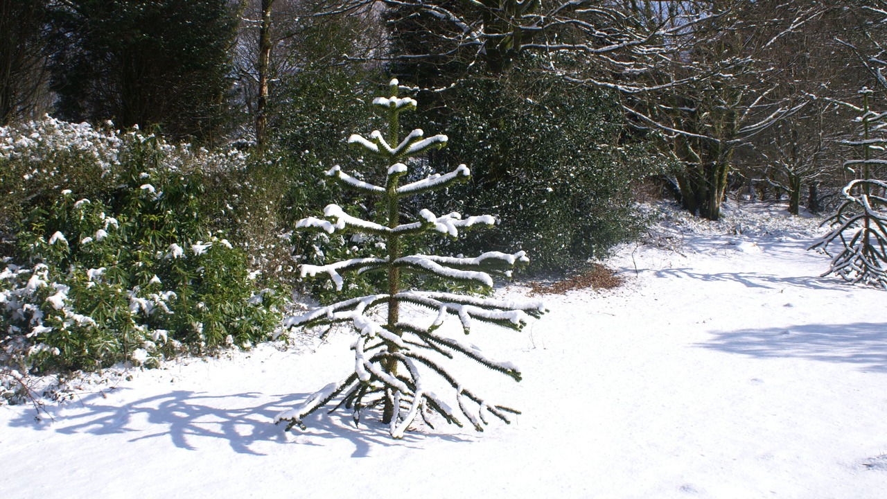 Photo of Others in Parracombe