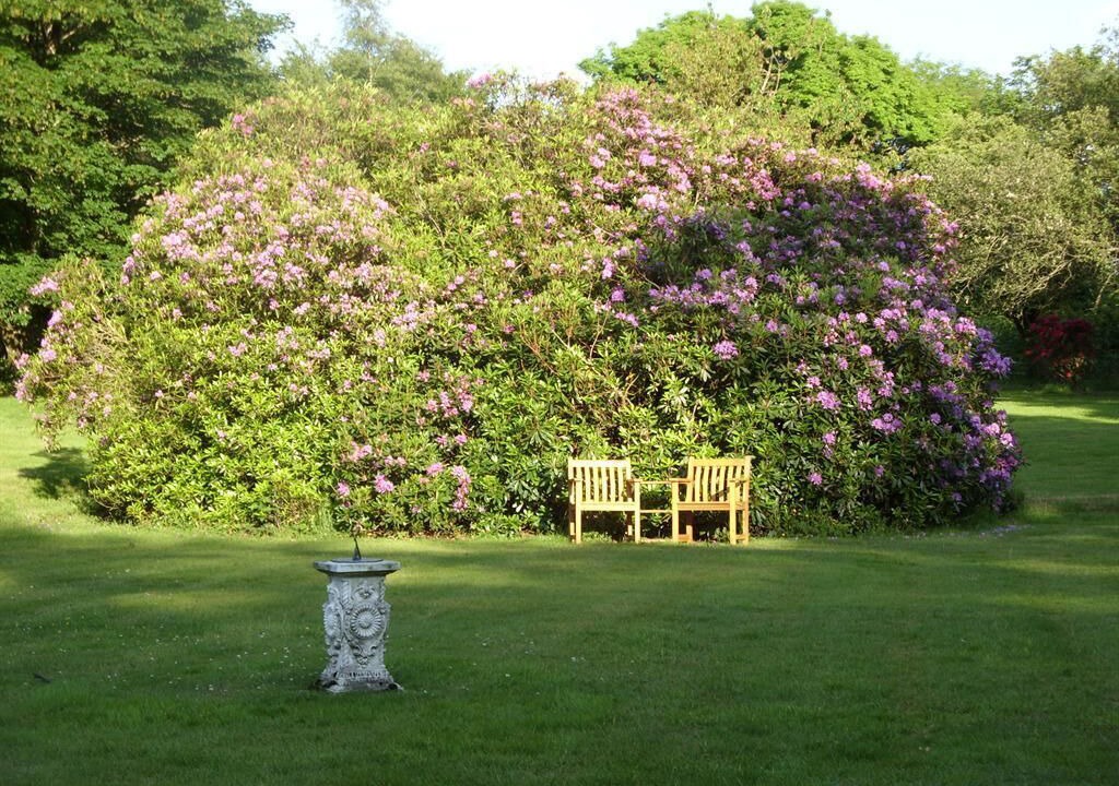 Photo of Others in Parracombe