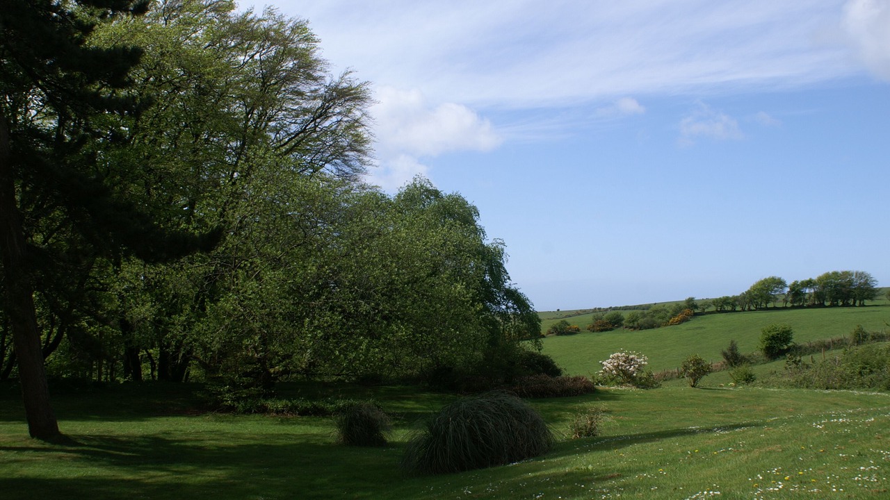 Photo of Outdoor in Parracombe