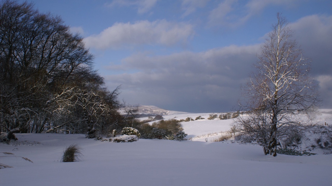 Photo of Others in Parracombe