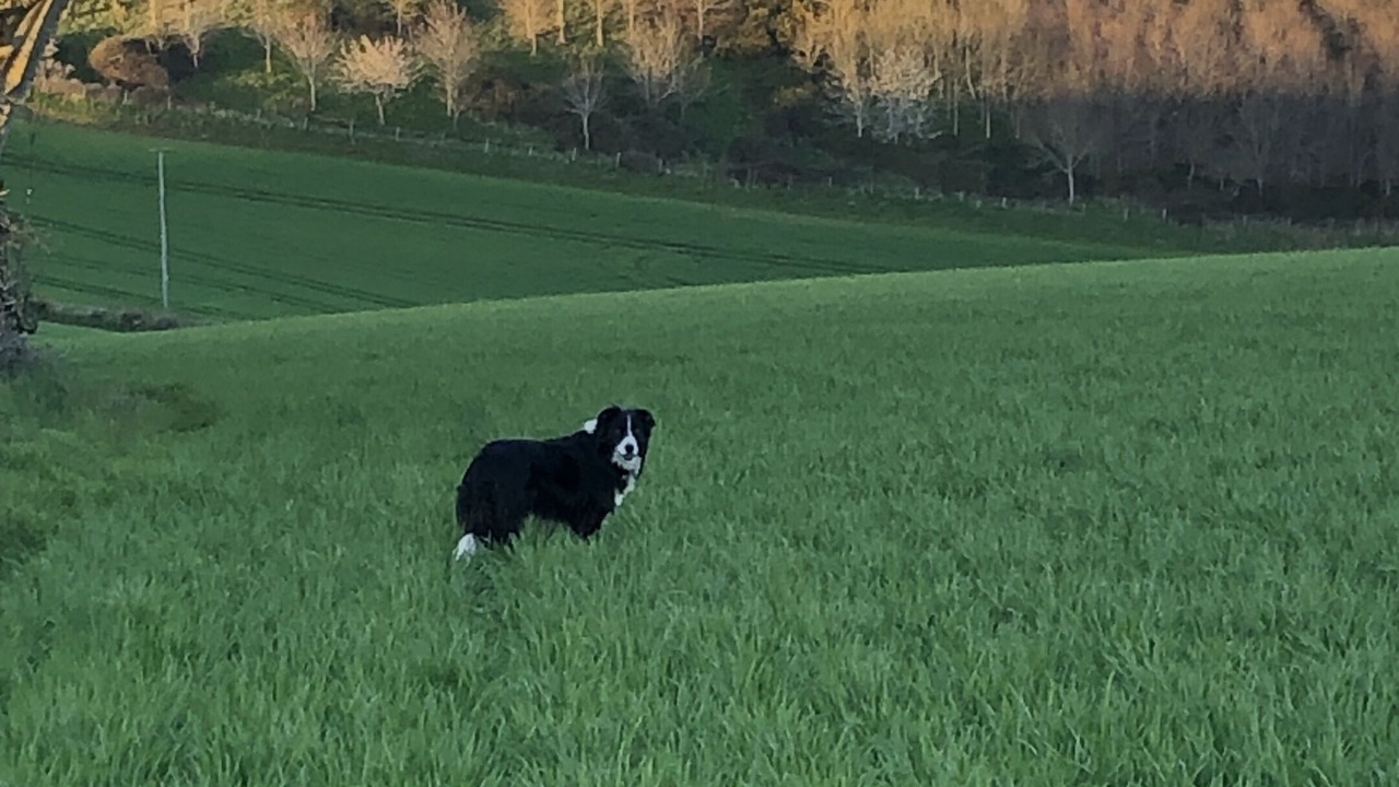 Photo of Others in Kenn