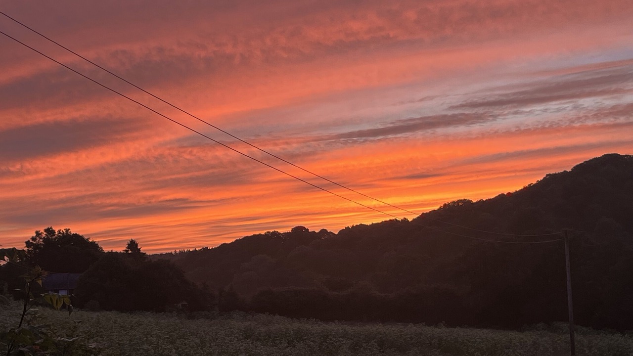 Photo of Others in Kenn