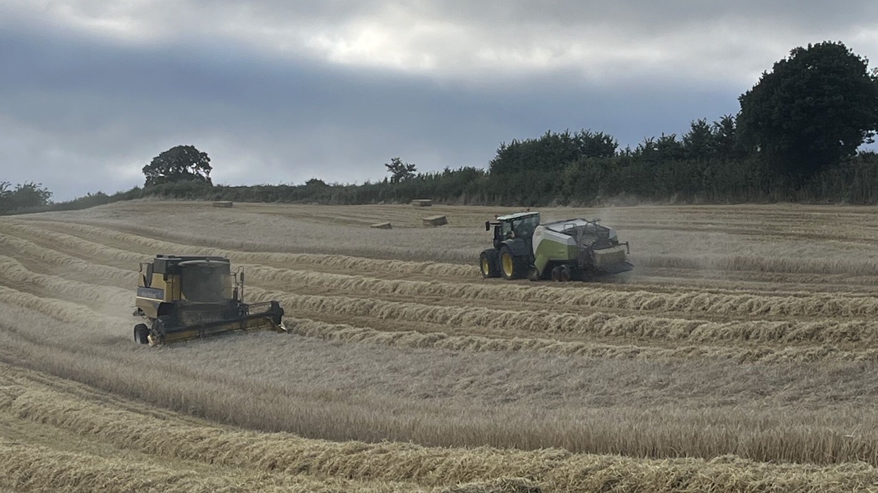 Photo of Others in Kenn