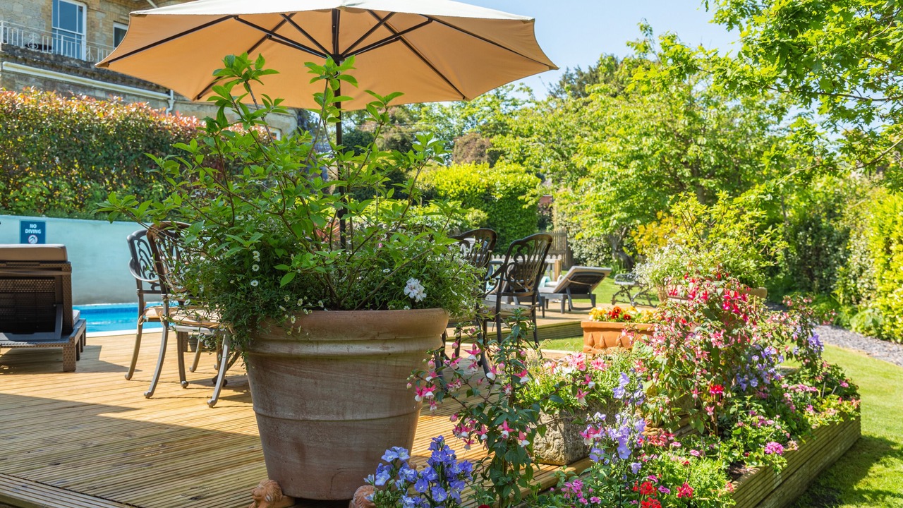 Photo of Outdoor in Shanklin