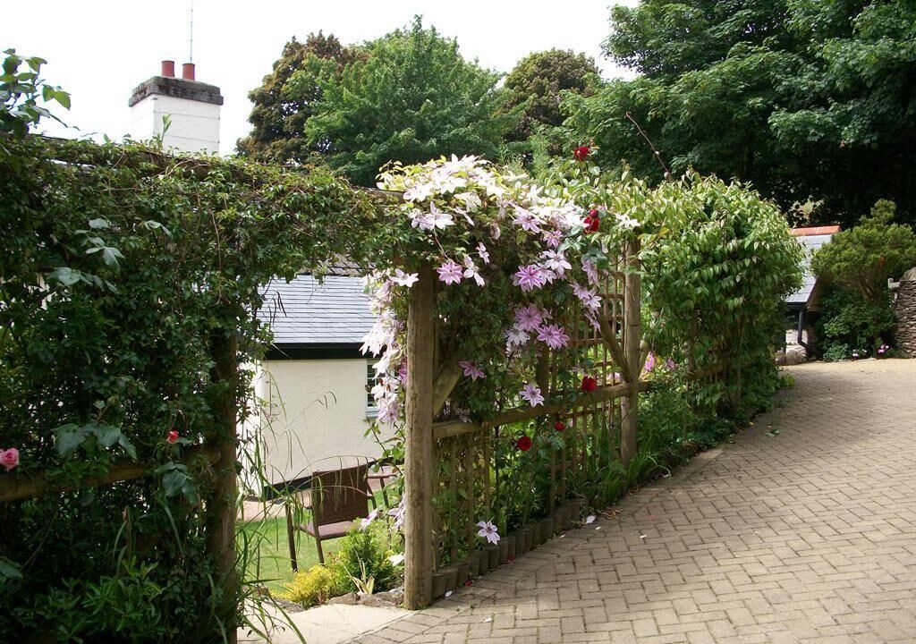 Photo of Others in Strete