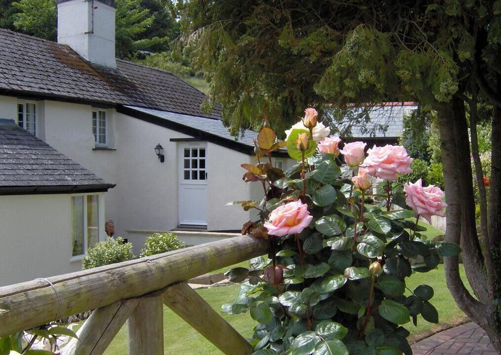 Photo of Outdoor in Strete