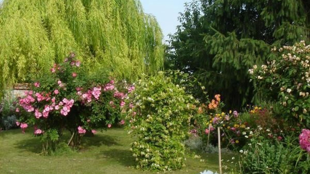 Photo of Outdoor in Pithiviers-le-Vieil