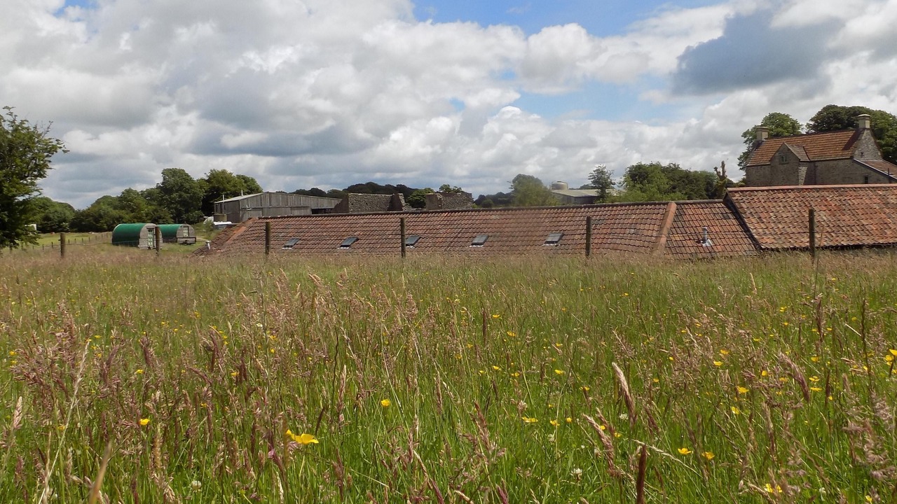 Photo of Others in Compton Martin