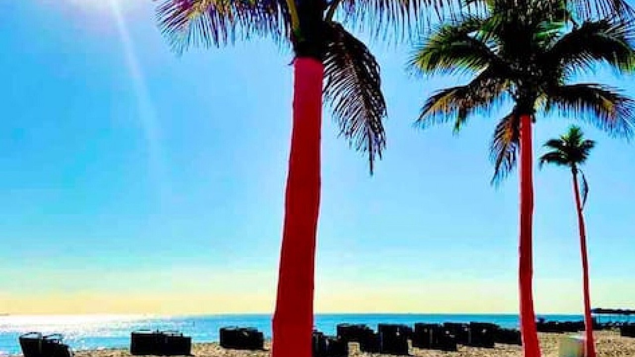 Photo of Others in Hendricks and Venice Isles