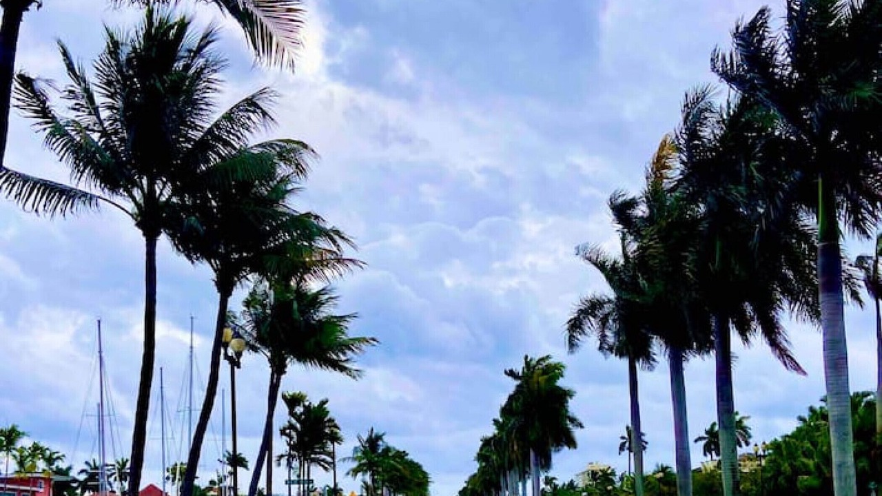 Photo of Others in Hendricks and Venice Isles