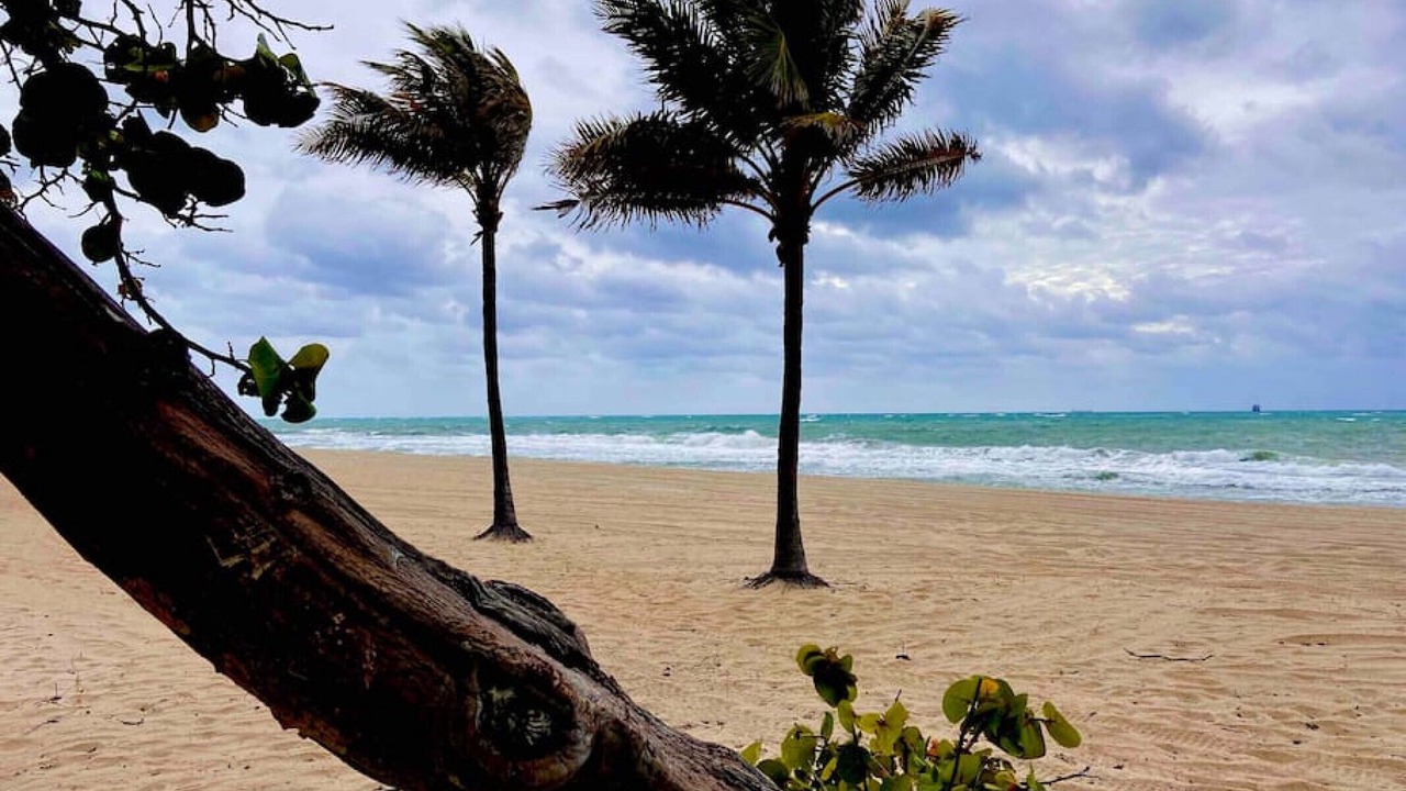 Photo of Others in Hendricks and Venice Isles