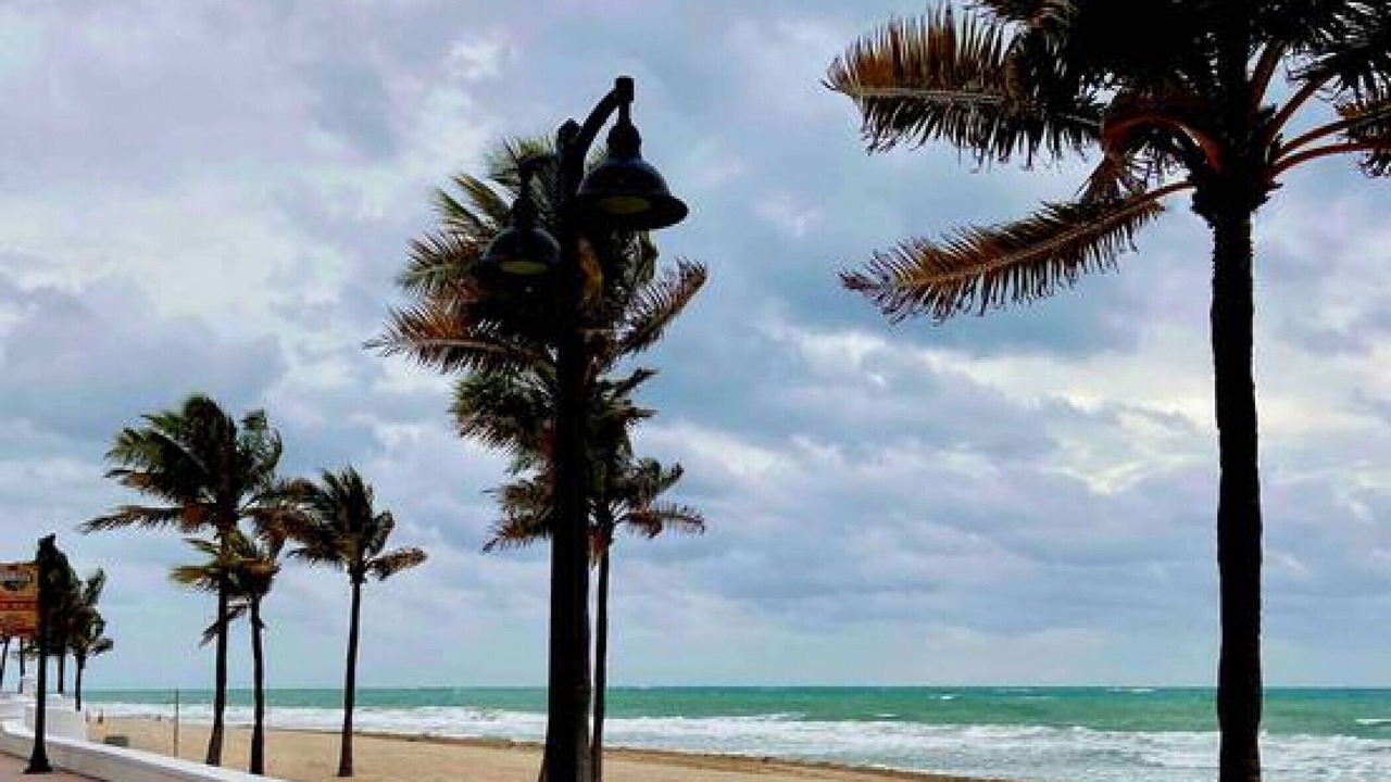 Photo of Others in Hendricks and Venice Isles