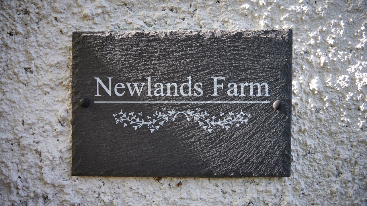 Photo of Others in Natland