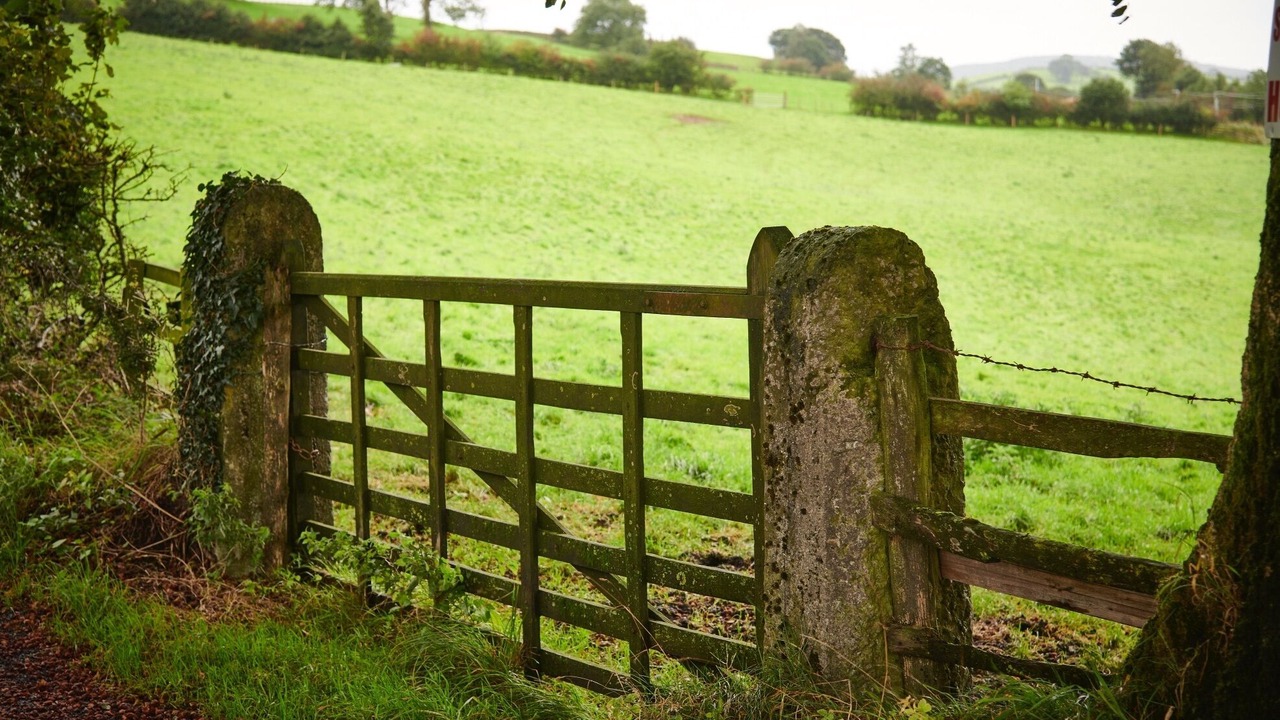 Photo of Others in Natland