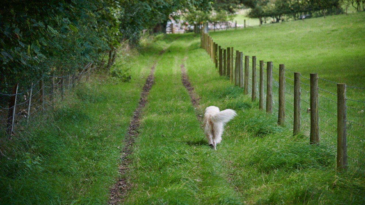 Photo of Others in Natland