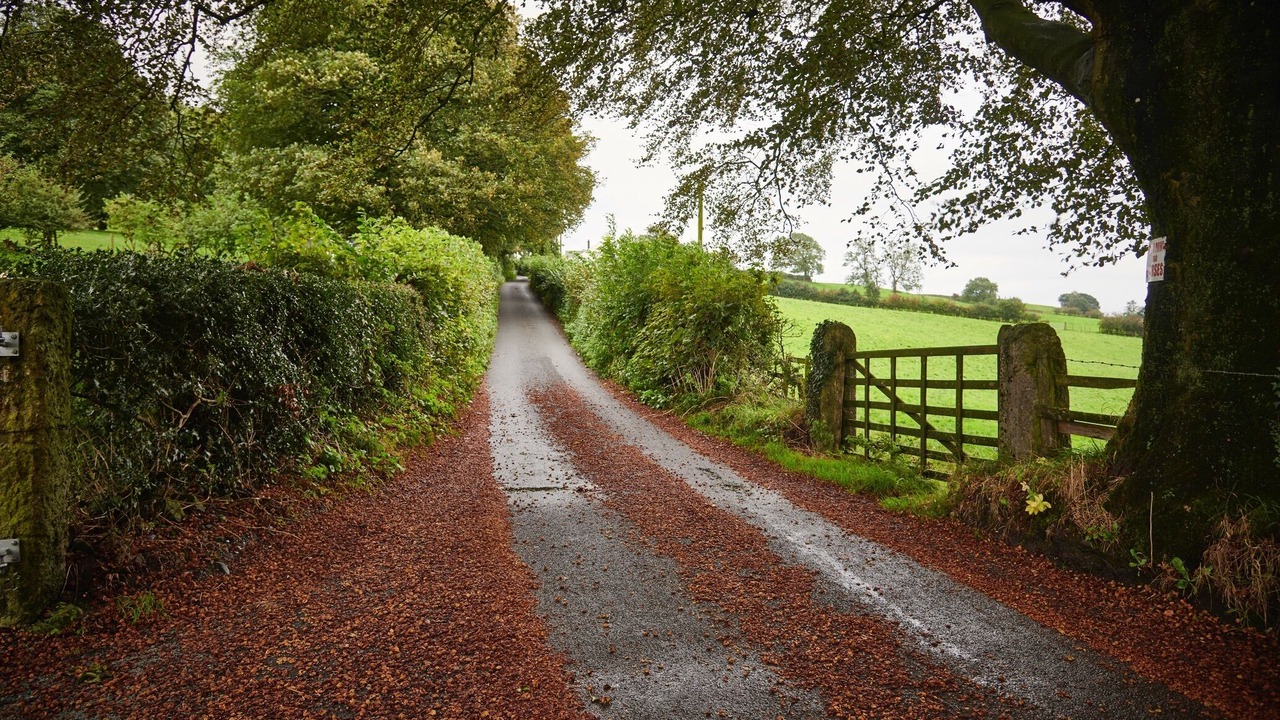 Photo of Others in Natland