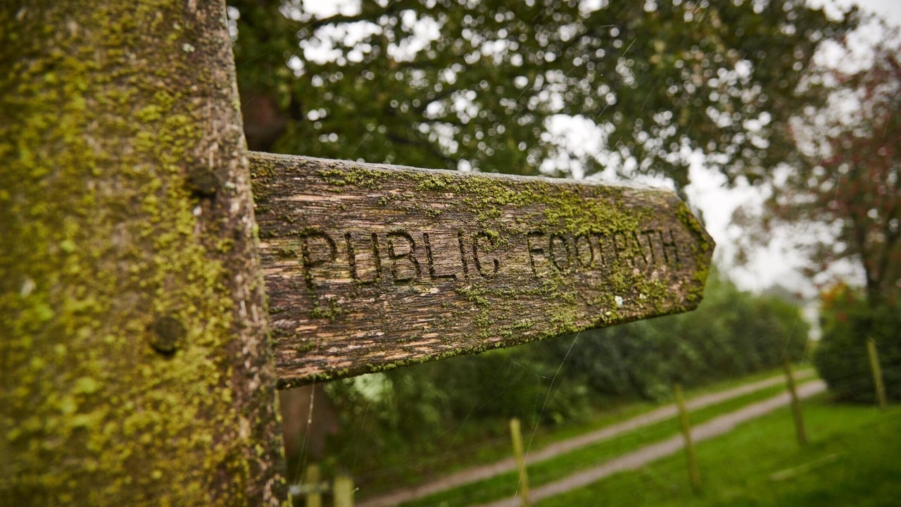 Photo of Others in Natland