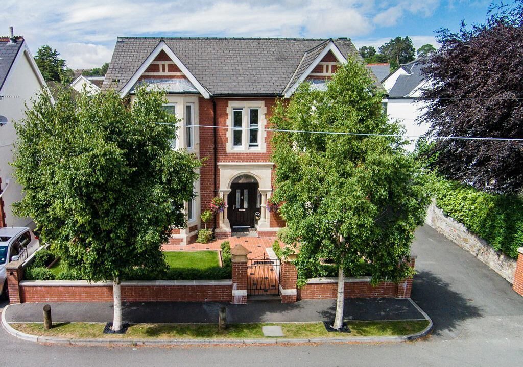 Photo of Outdoor in Park