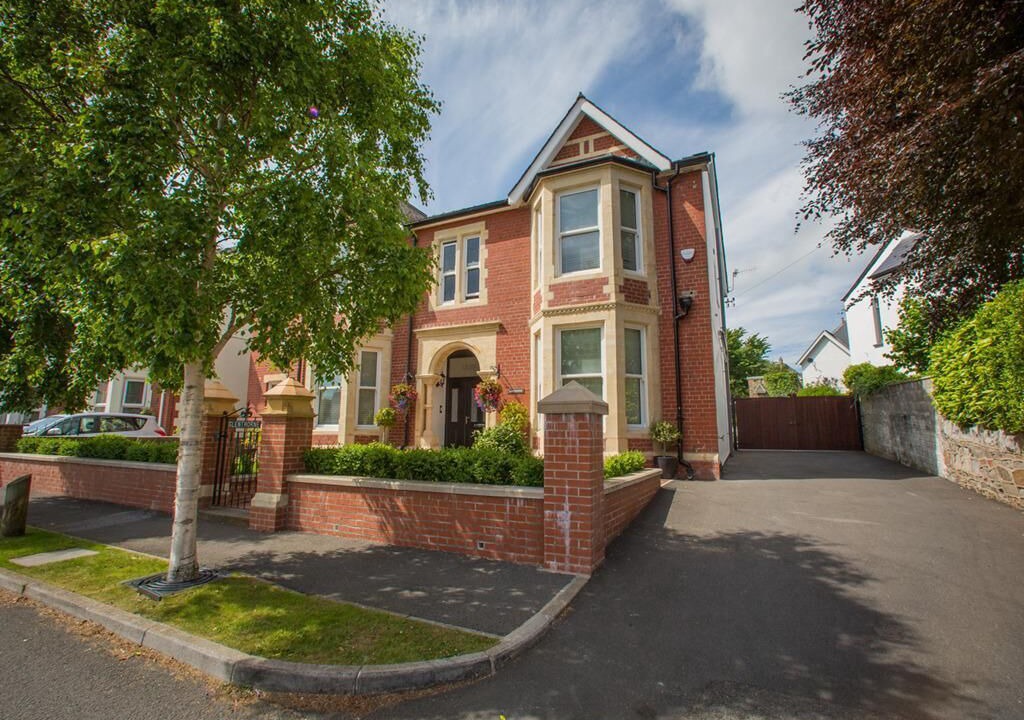 Photo of Outdoor in Park