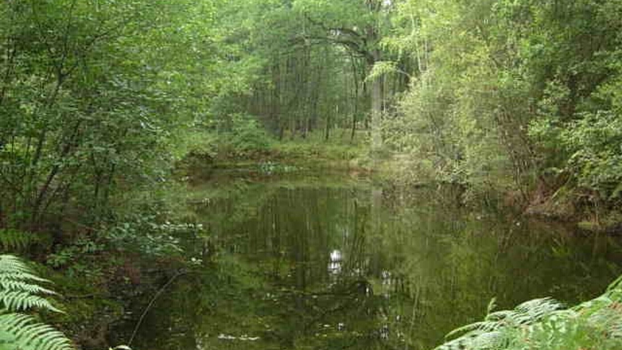 Photo of Outdoor in Ardon