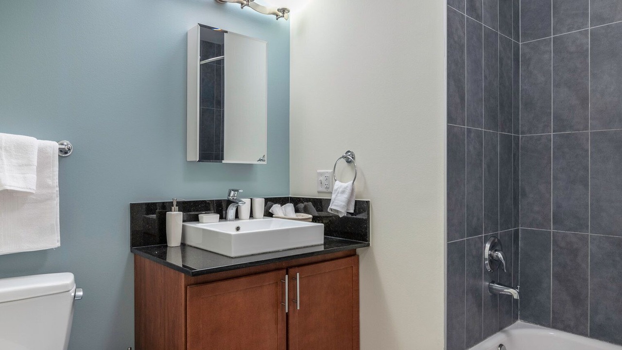 Photo of Bathroom in Downtown Chicago