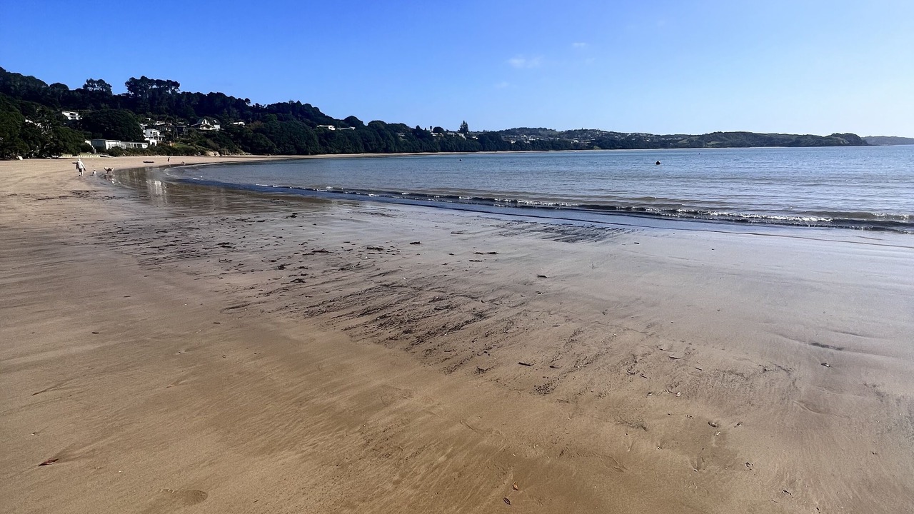 Photo of Others in Coopers Beach