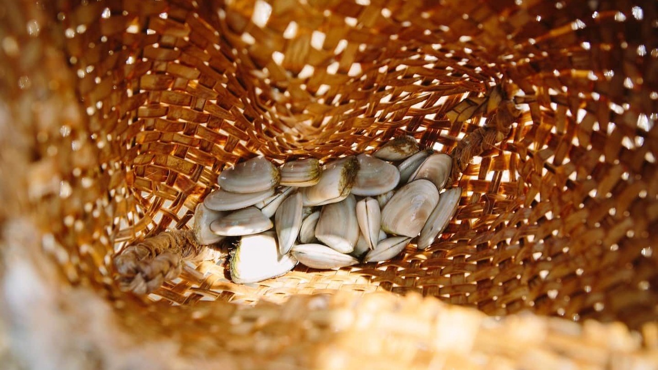 Photo of Others in Coopers Beach