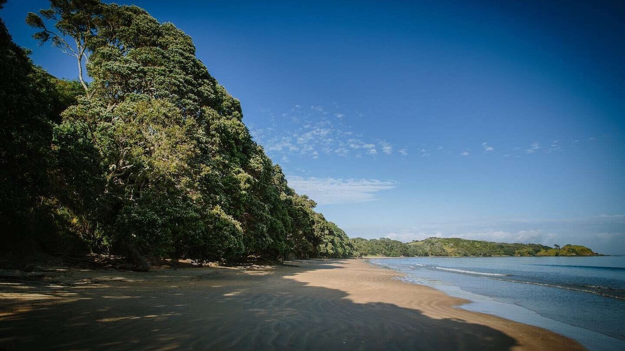 Photo of Others in Coopers Beach