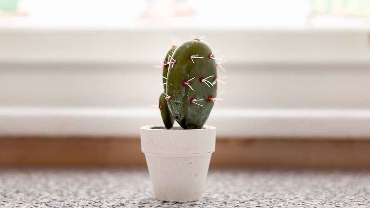 Photo of Others in Newcastle-upon-Tyne