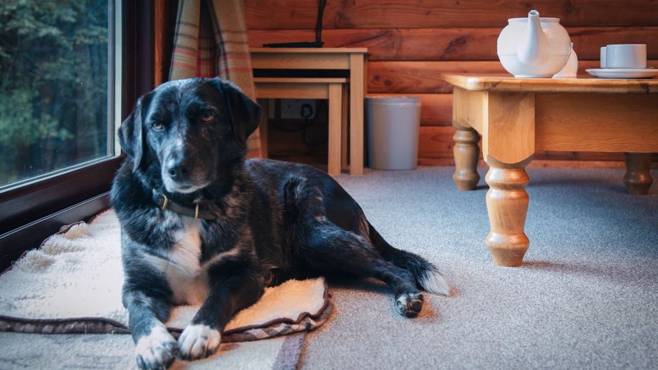 Photo of Others in Ardvasar