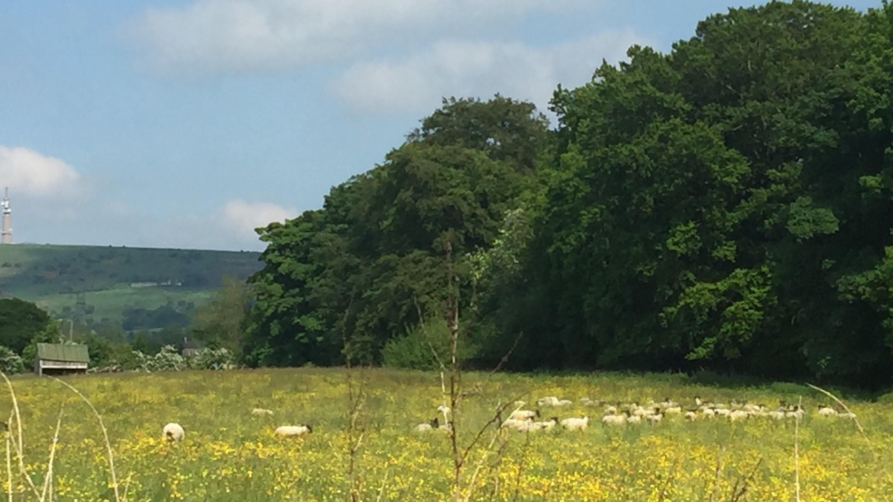 Photo of Others in Congleton