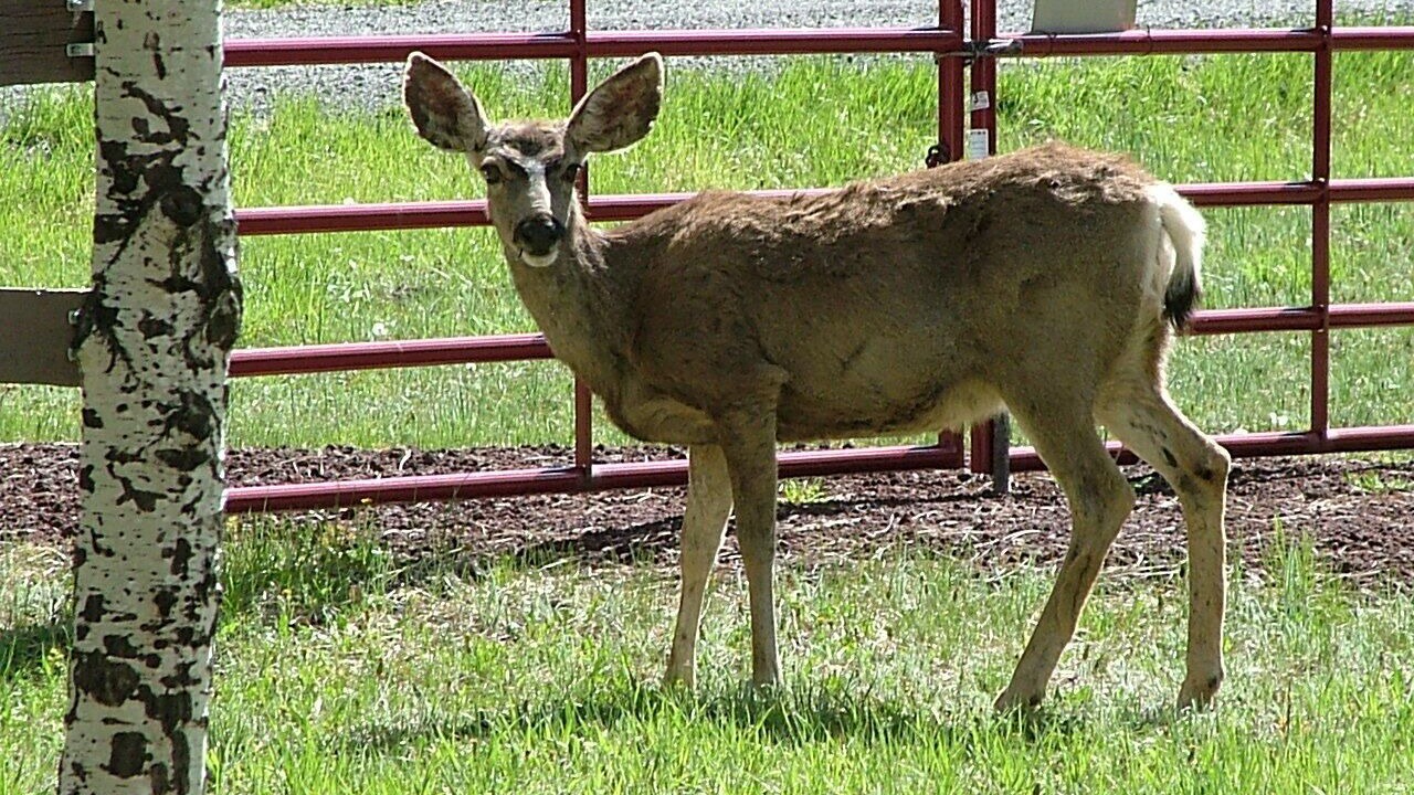 Photo of Others in Greer