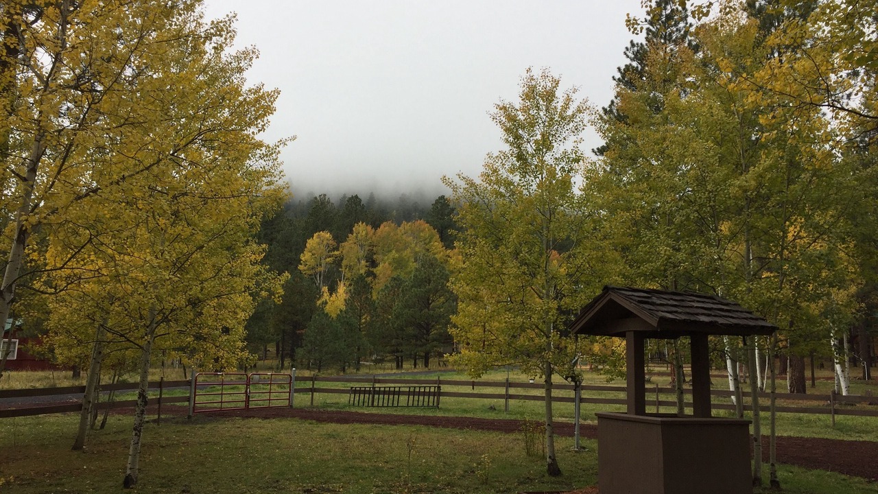 Photo of Outdoor in Greer