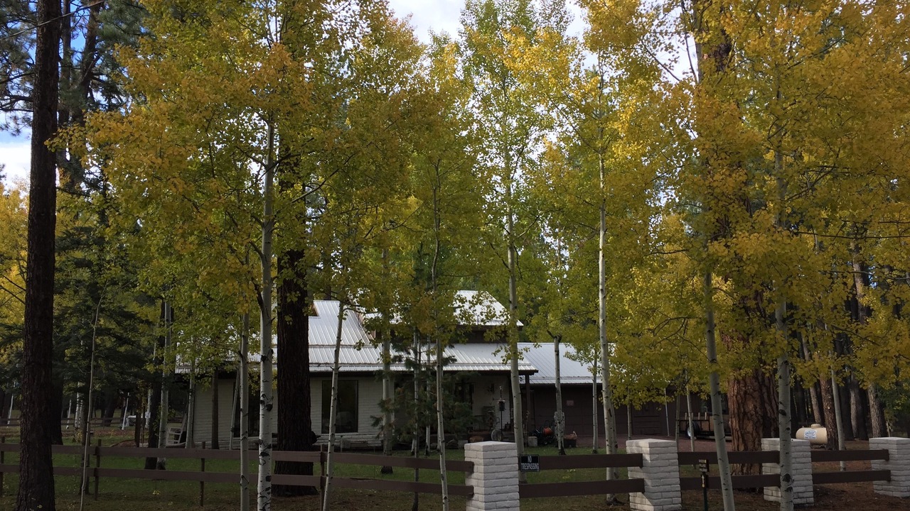 Photo of Outdoor in Greer