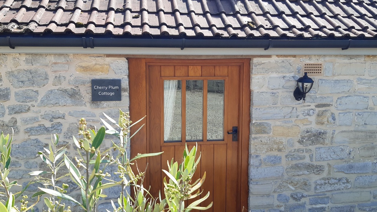 Photo of Others in Wedmore