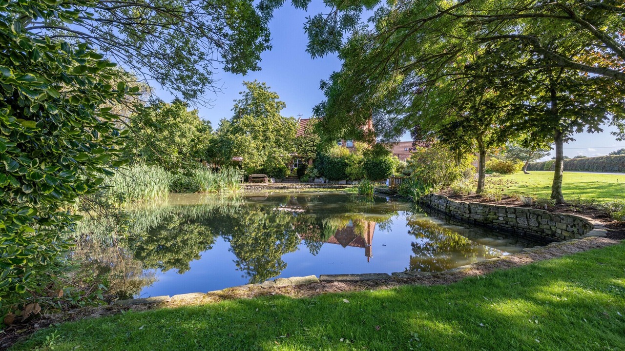 Photo of Others in York