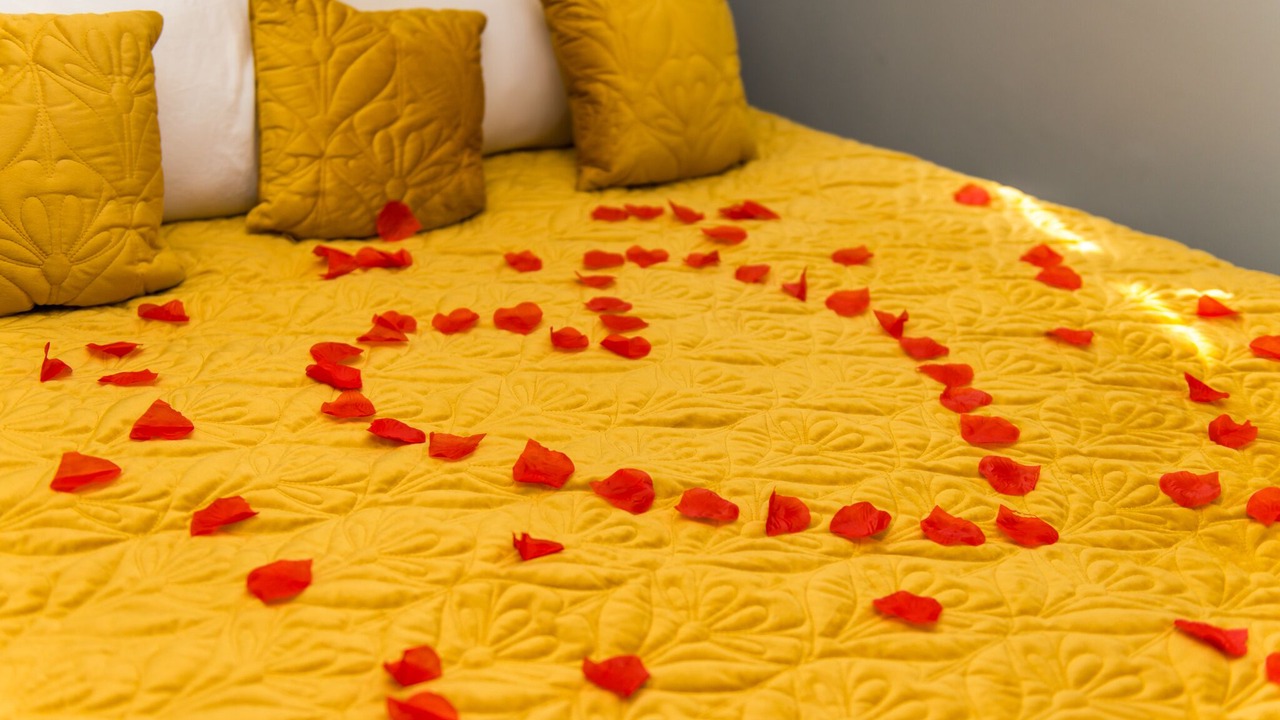 Photo of Others in Bradford