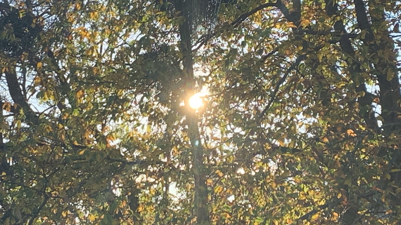 Photo of Outdoor in Mareil-Marly