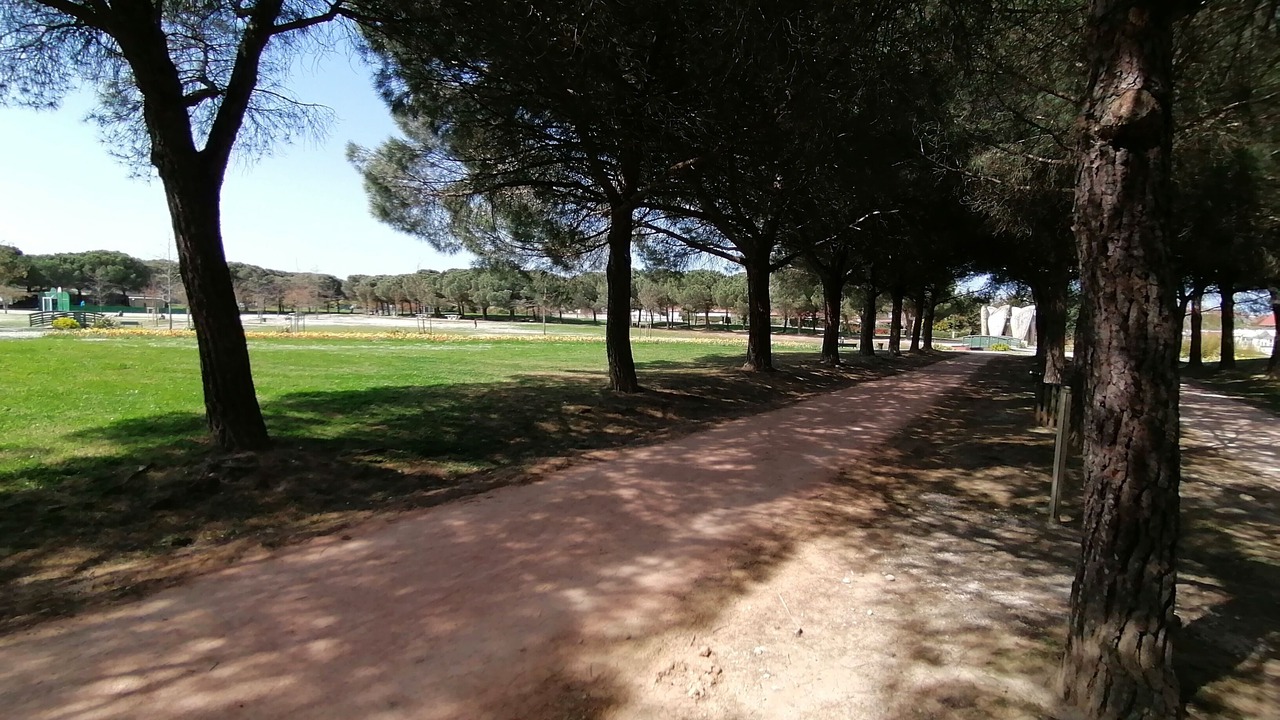 Photo of Outdoor in Blagnac