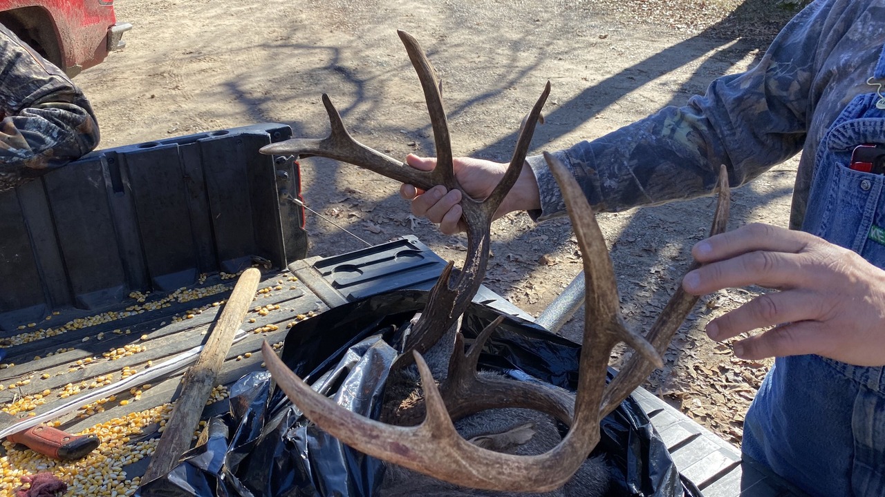 Photo of Outdoor in Hugo