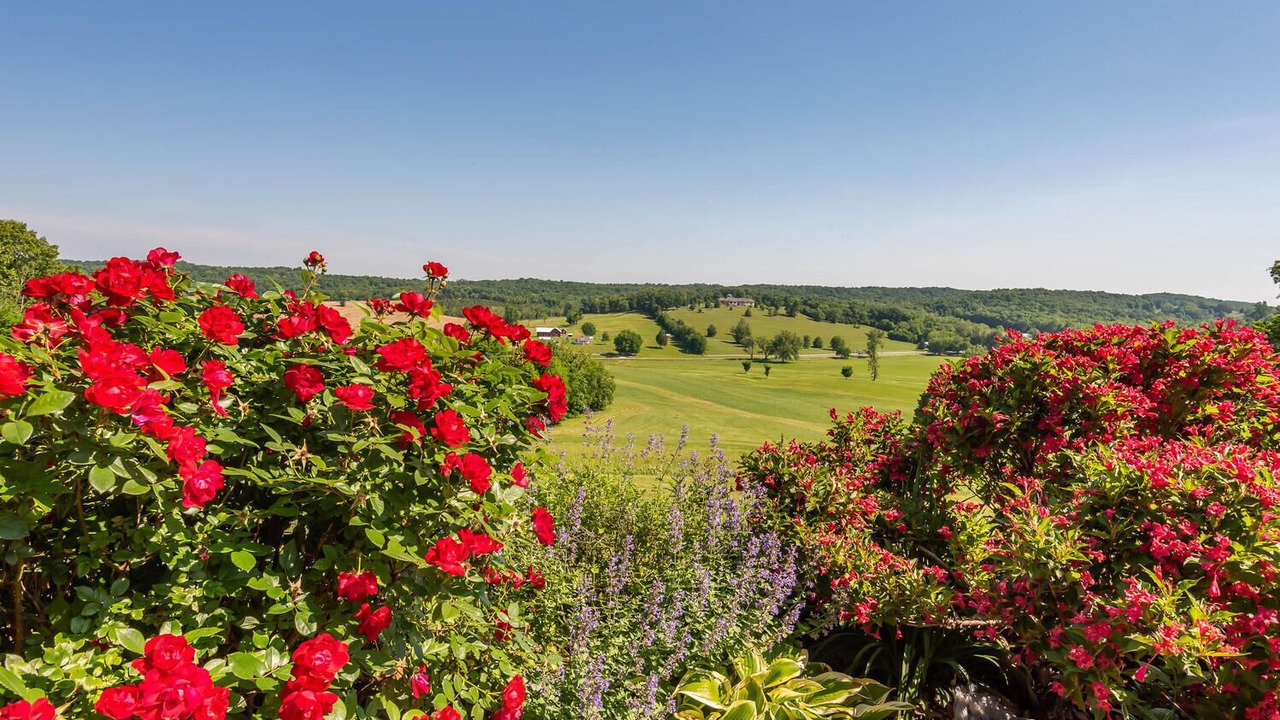 Photo of Outdoor in Paoli