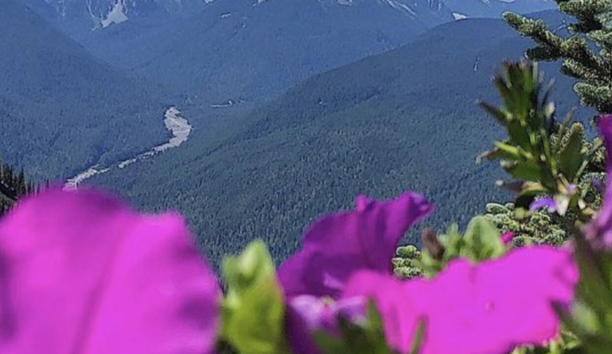 Photo of Others in Bonney Lake