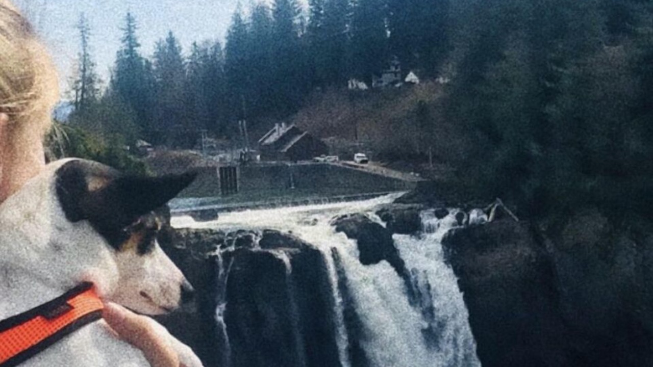 Photo of Others in Bonney Lake