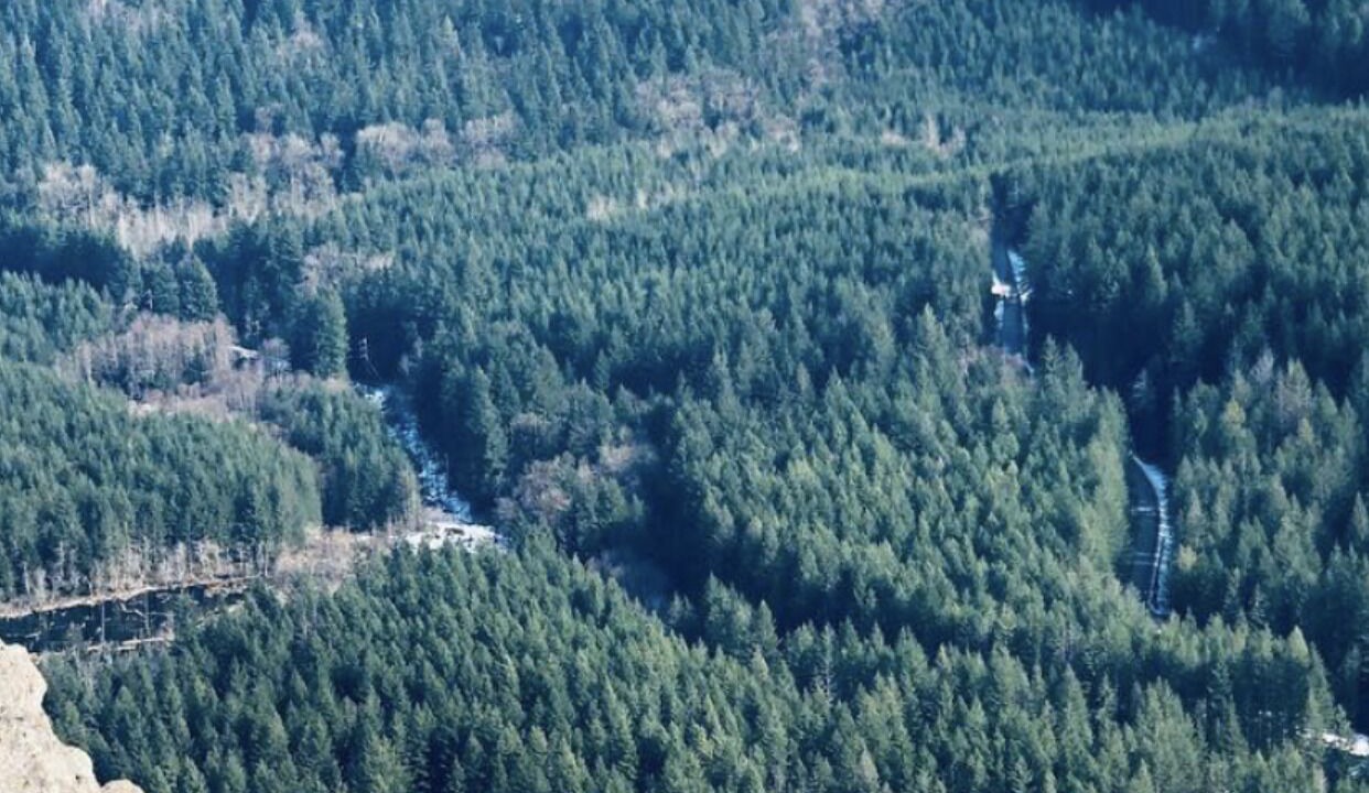 Photo of Others in Bonney Lake