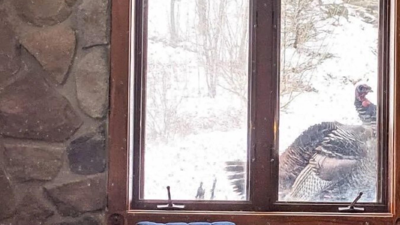 Photo of Outdoor in Decorah
