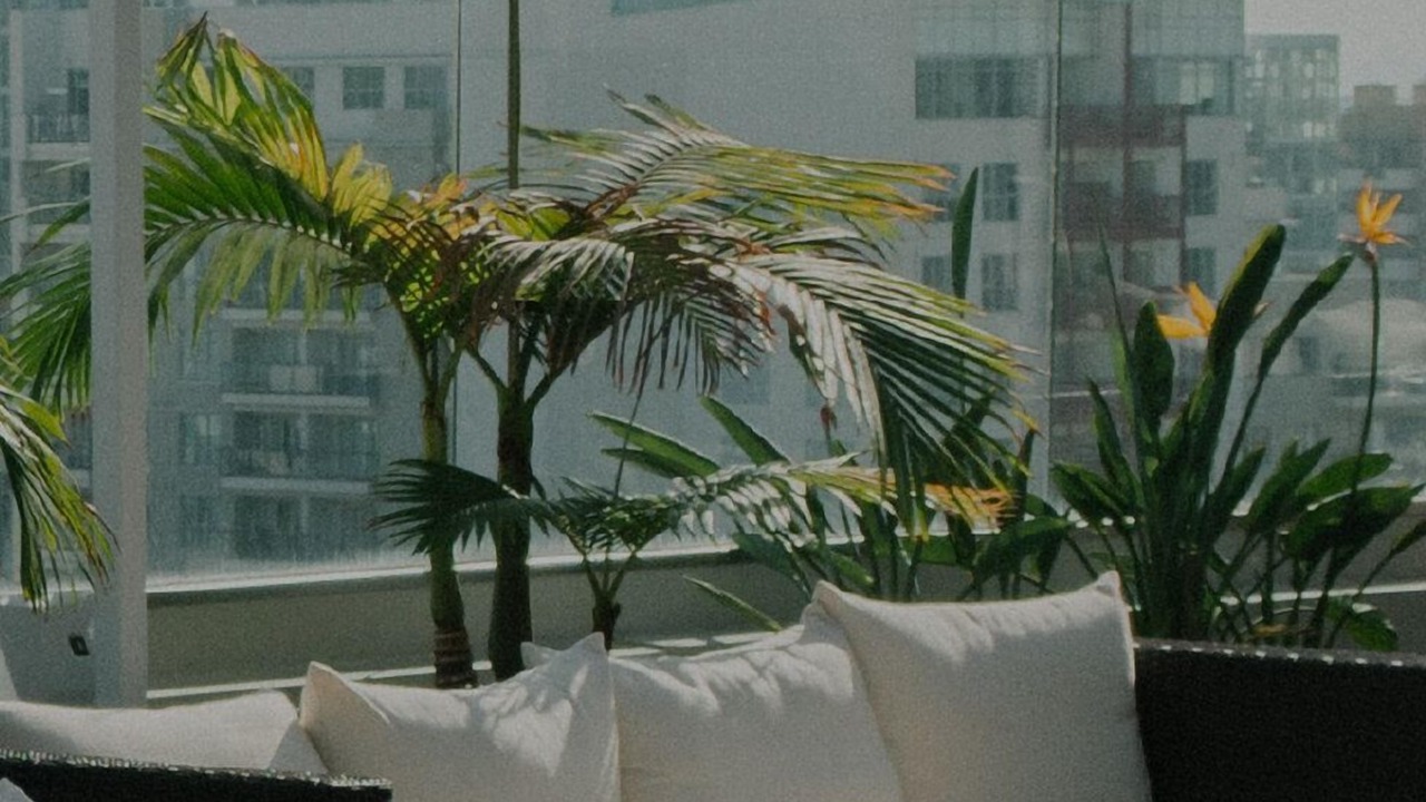 Photo of Outdoor in River North