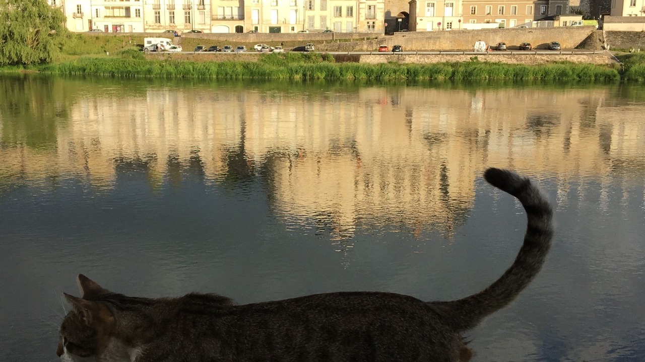 Photo of Others in Amboise