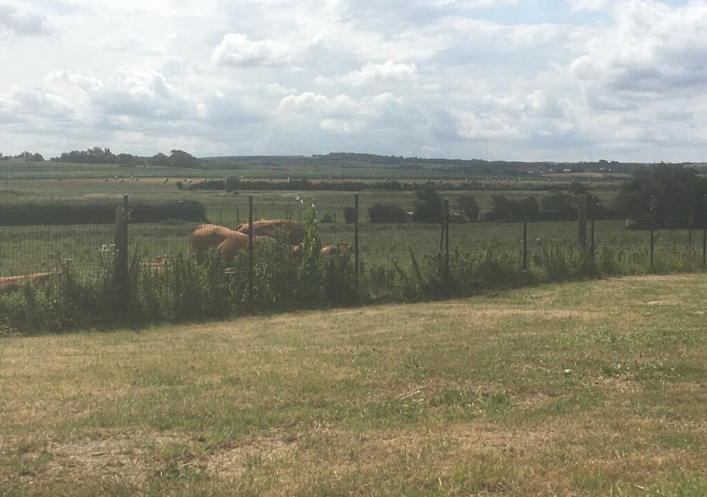 Photo of Outdoor in Bazinghen