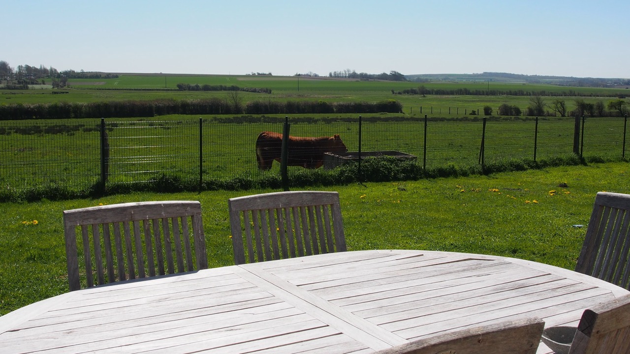 Photo of Outdoor in Bazinghen