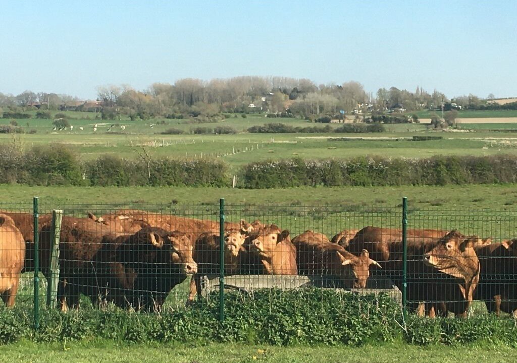 Photo of Outdoor in Bazinghen